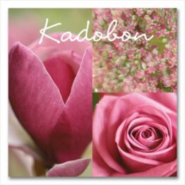 Kadobon Roze